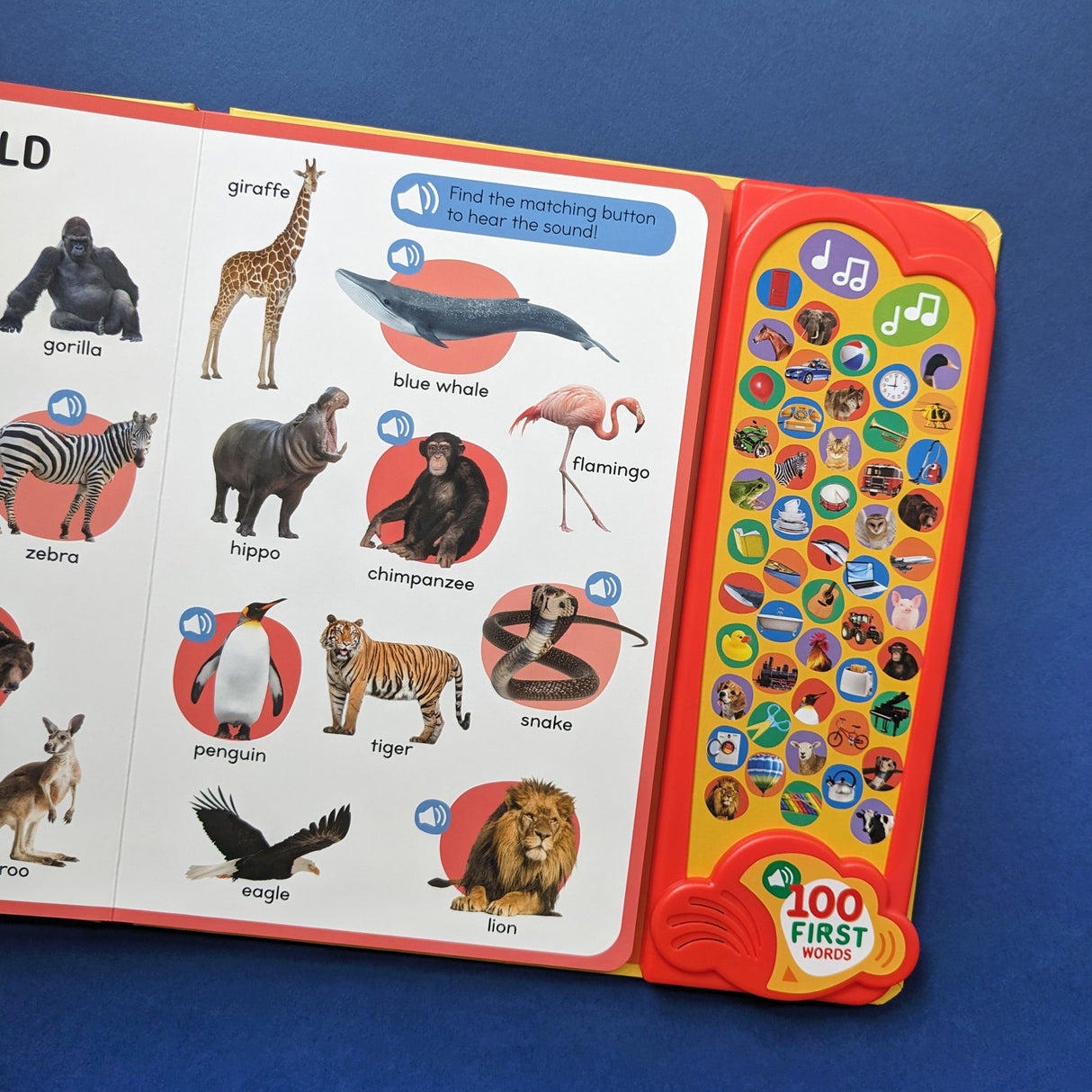 100 First Words - Children's 50 Button Sound Book