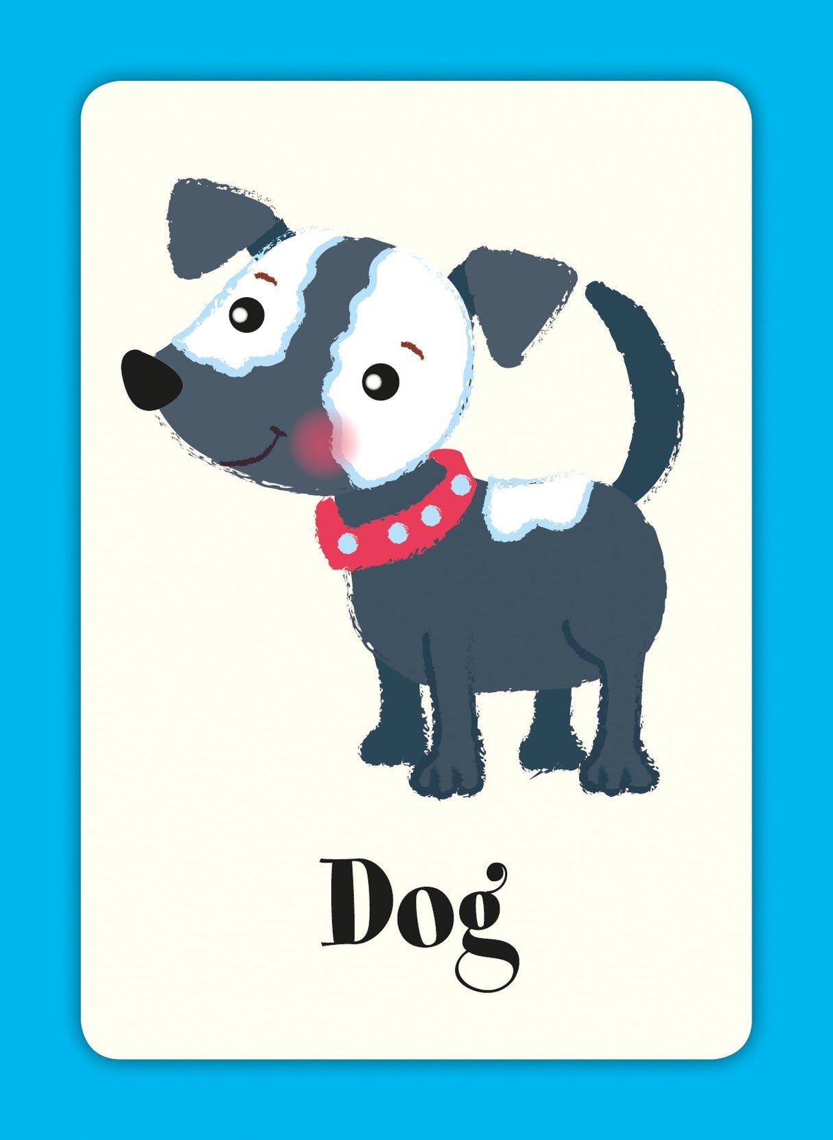 Children’s First Learning Flash Cards