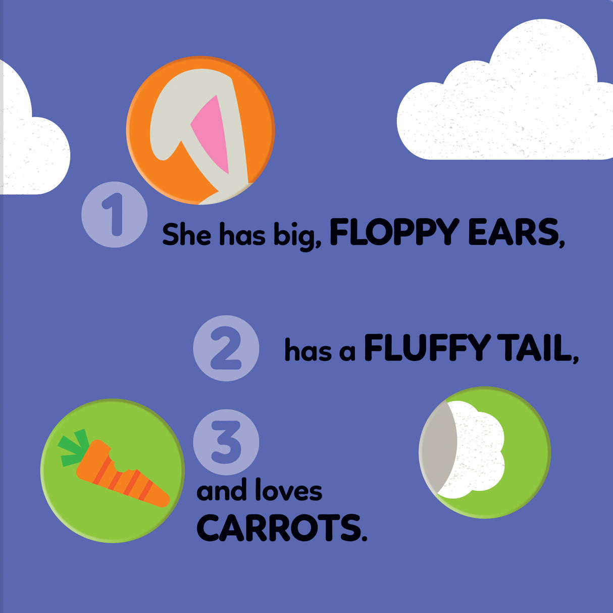 1-2-3 What Can You See? My First Pets - Board Book