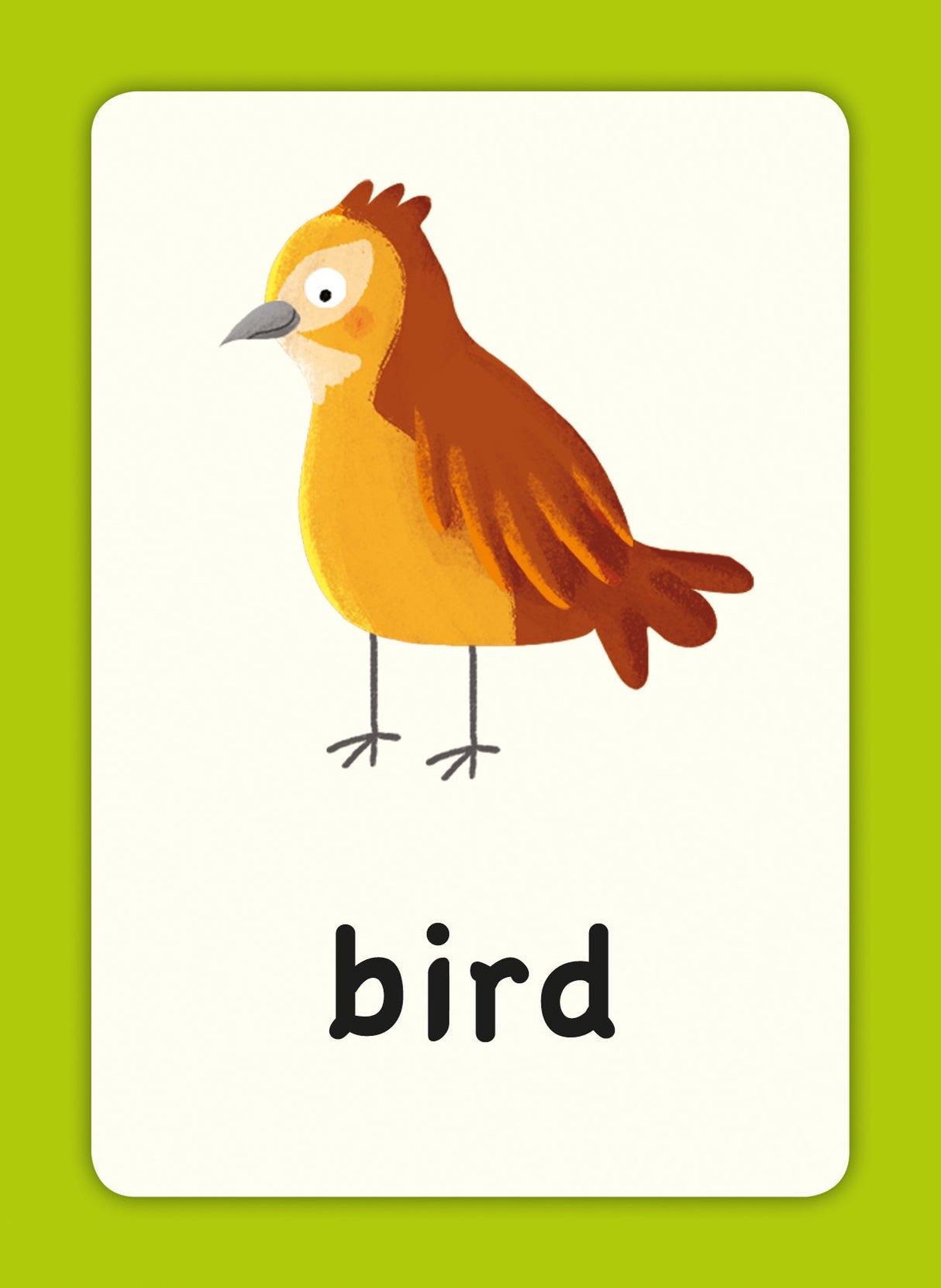 Children’s First Words Flash Cards