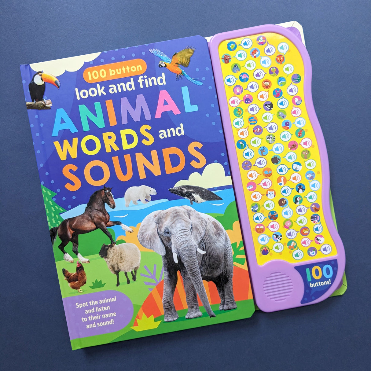 Look And Find Animal Words & Sounds - Children's 100 Button Sound Book