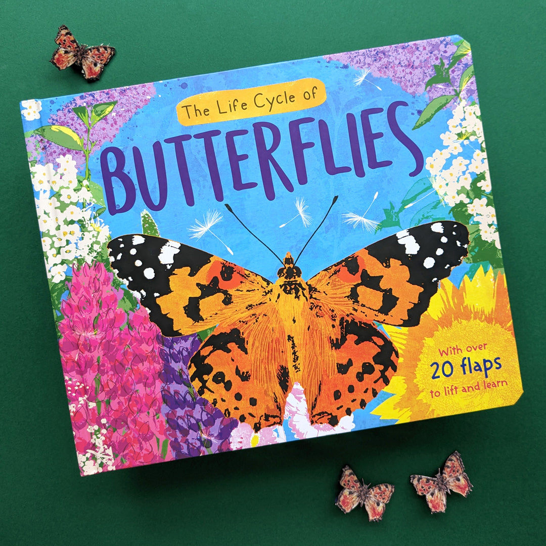 The Life Cycle of Butterflies - Children’s Lift-the-Flap Book