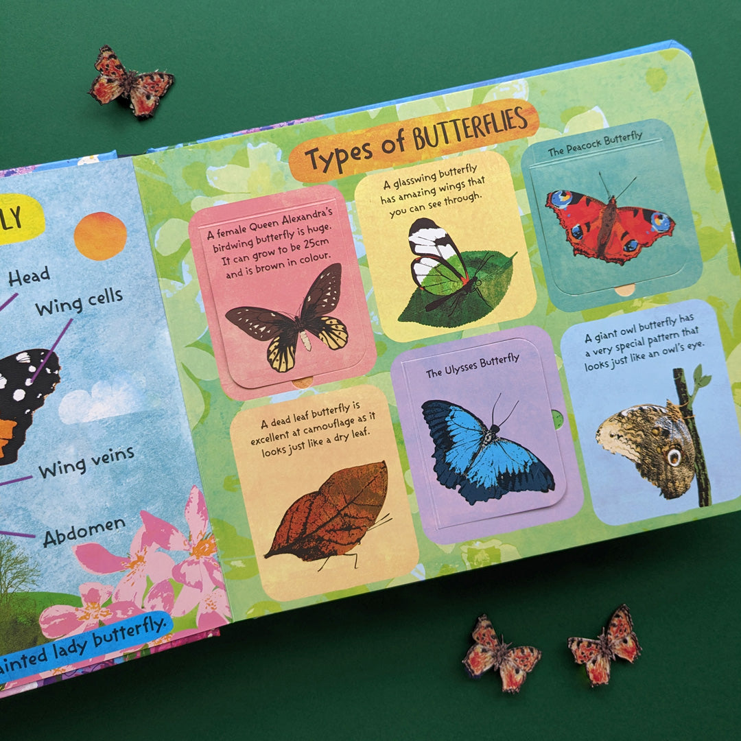 The Life Cycle of Butterflies - Children’s Lift-the-Flap Book