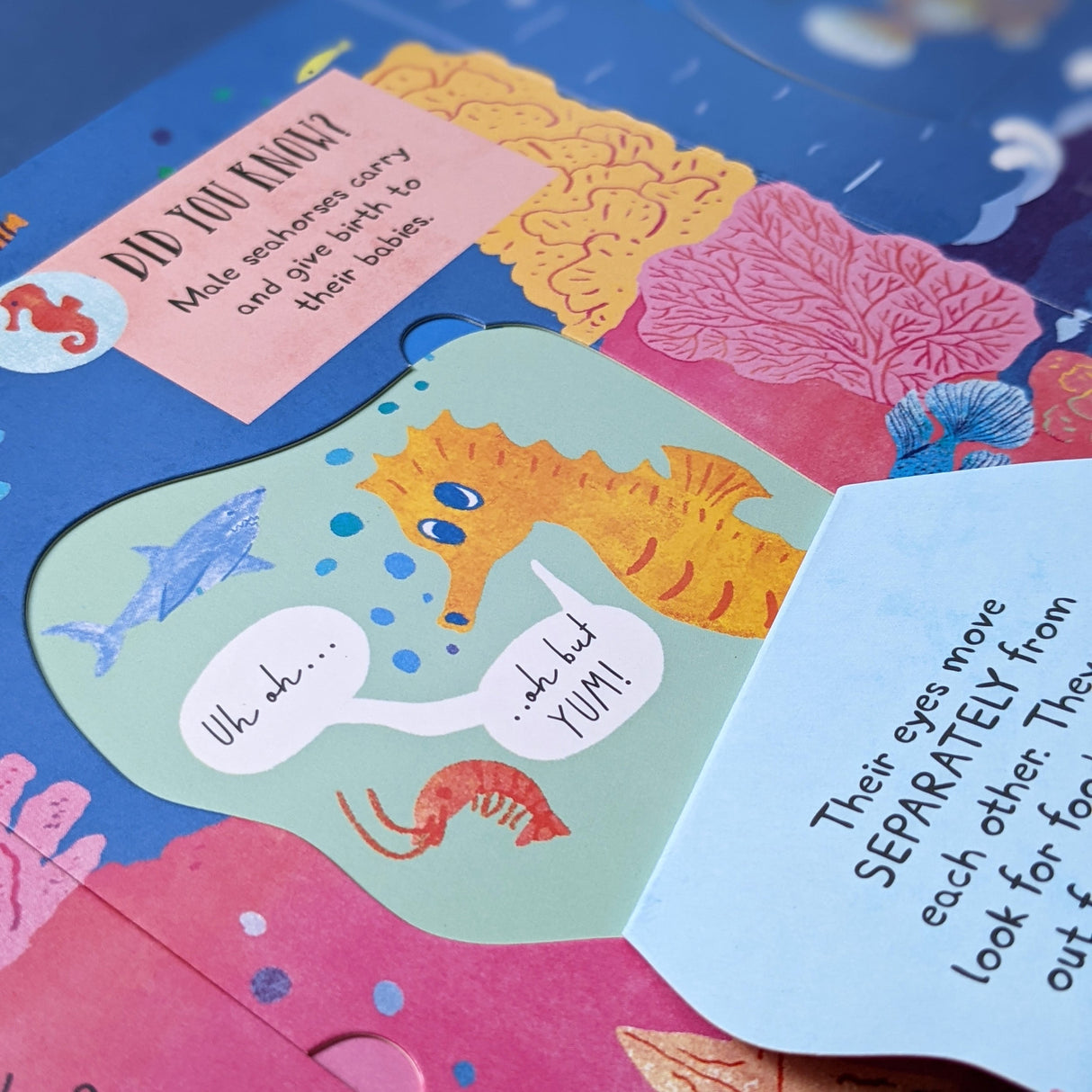 Which Animal Would Be A Good Friend? - Children’s Question & Answer Book