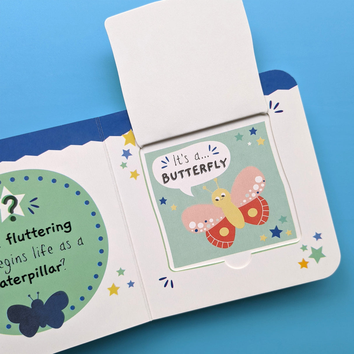 Little Wonders Mini Lift-The-Flap Book: My First Bugs