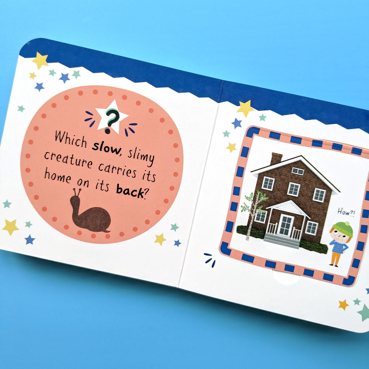 Little Wonders Mini Lift-The-Flap Book: My First Bugs