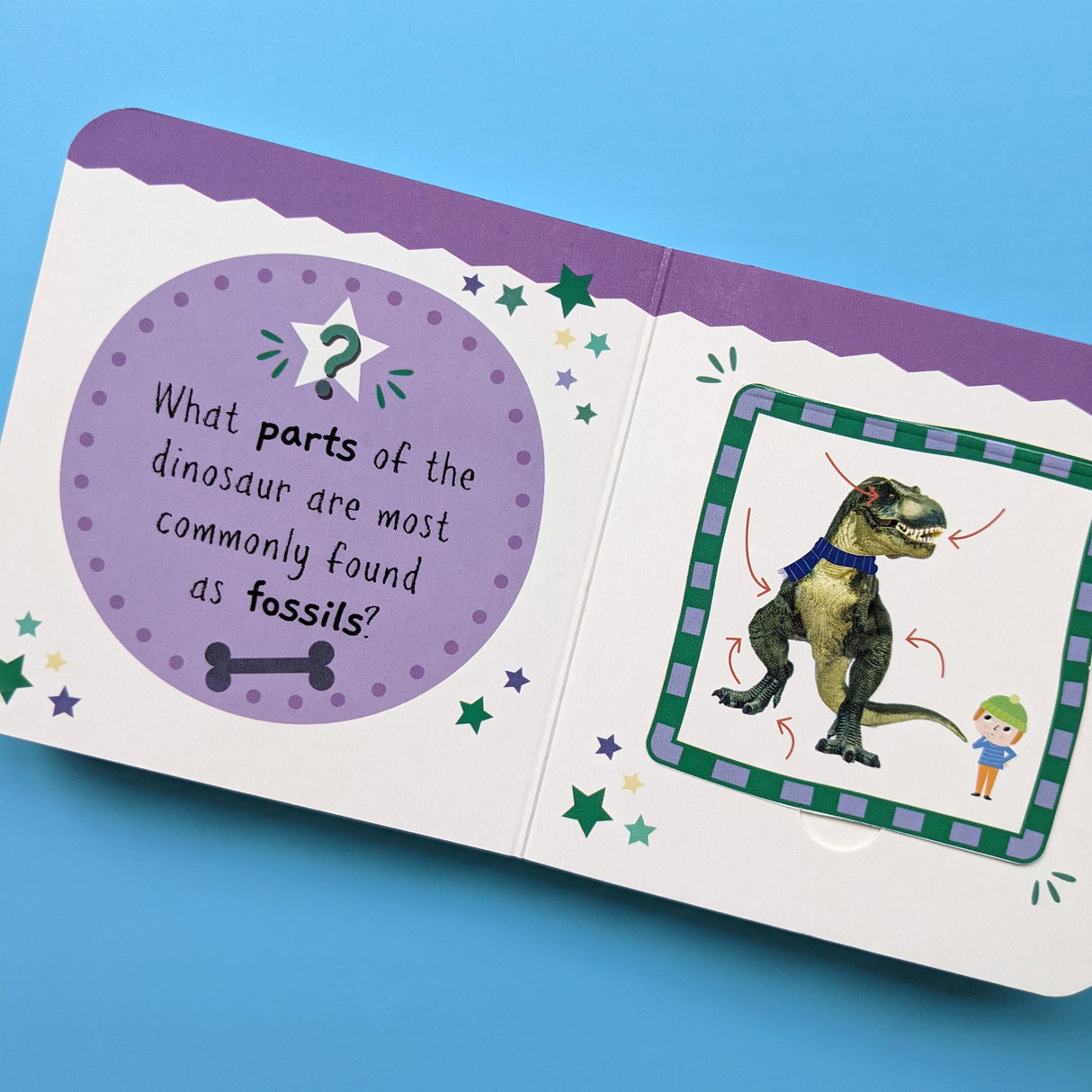 Little Wonders Mini Lift-The-Flap Book: My First Dinosaurs