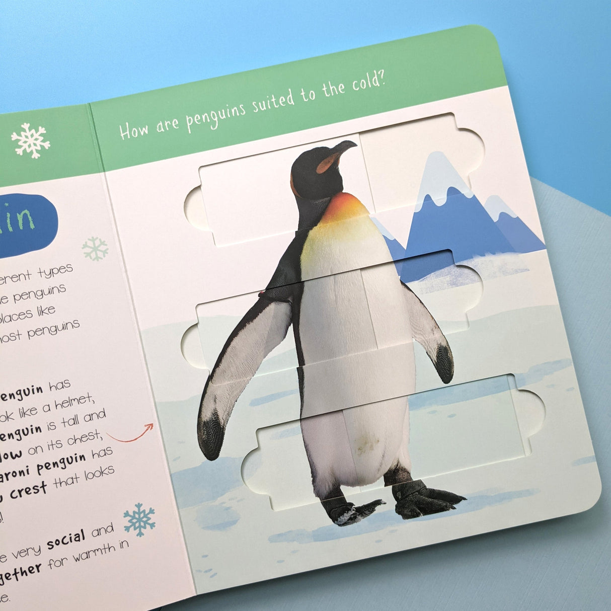 Polar Animals: Who is Hiding in the Puzzle? - Children’s Puzzle Slider Book
