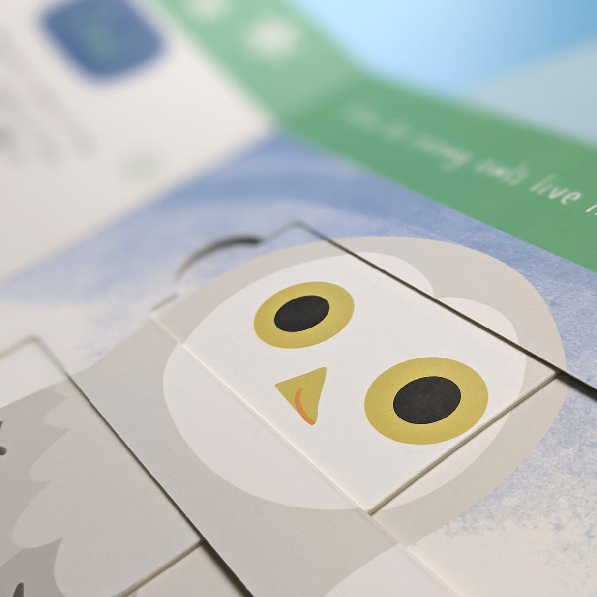 Polar Animals: Who is Hiding in the Puzzle? - Children’s Puzzle Slider Book