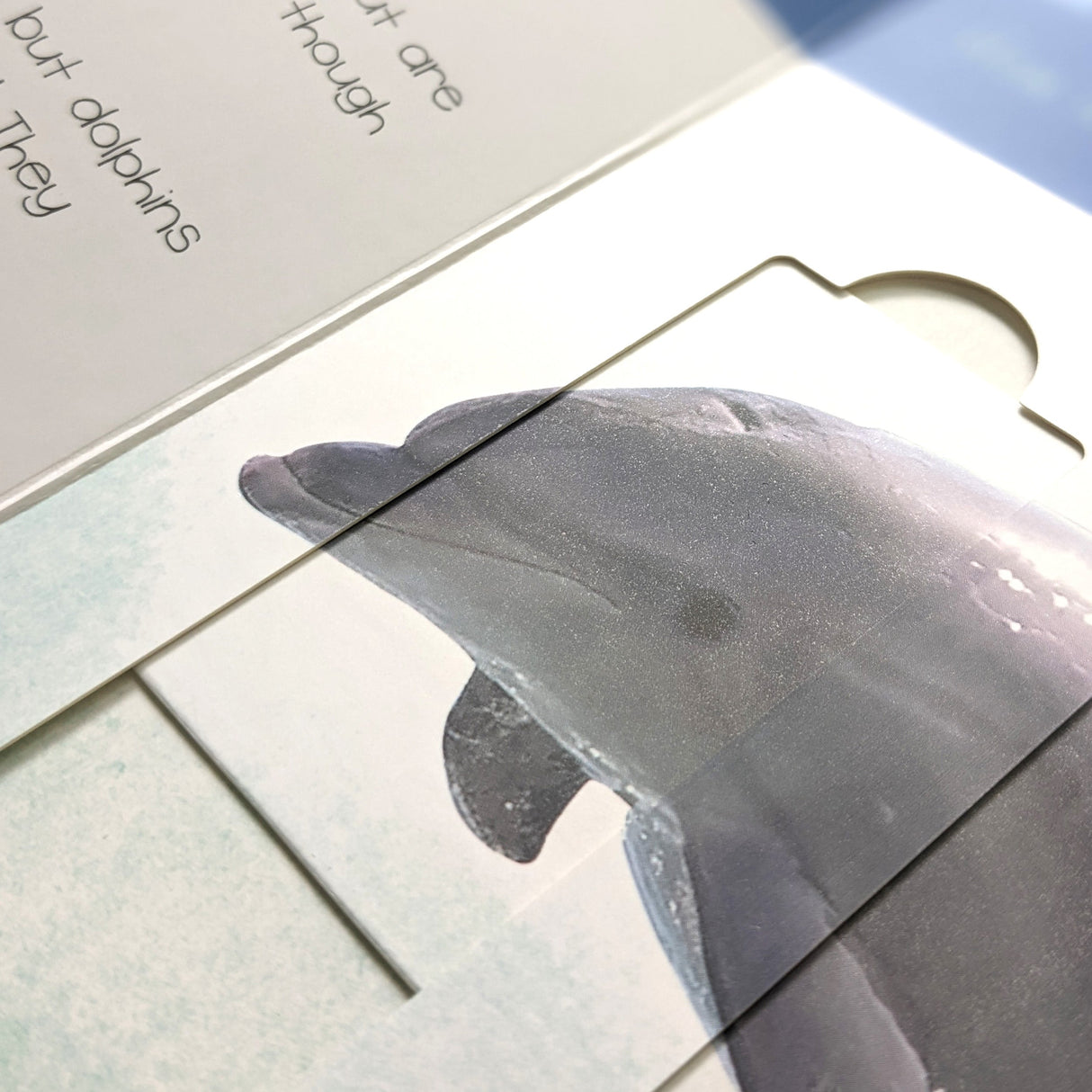 Ocean Animals: Who is Hiding in the Puzzle? - Children’s Puzzle Slider Book