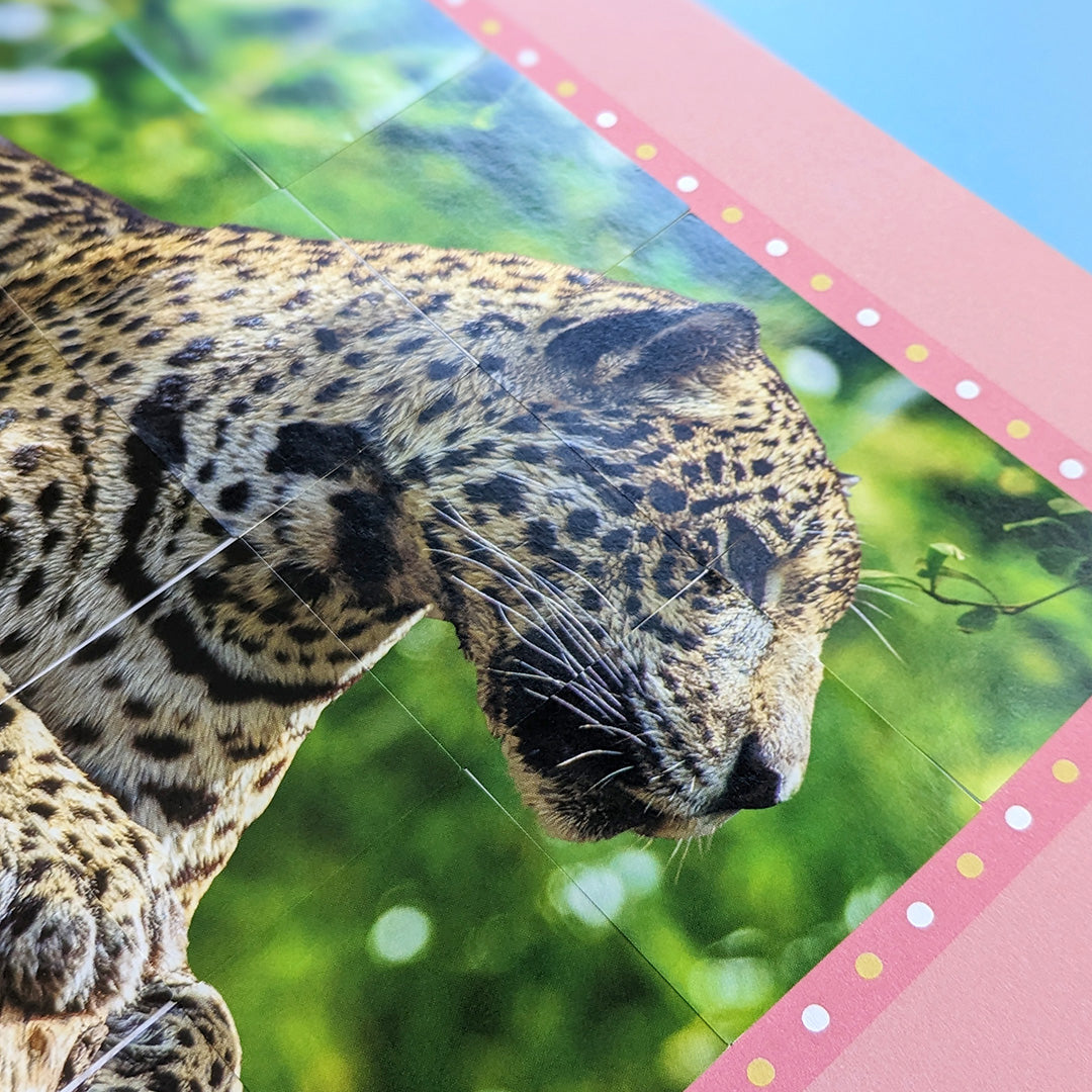 Jungle Animals - Children’s Sticker By Number Activity Book