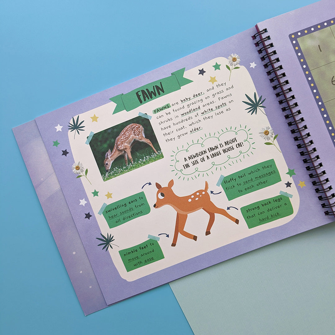 Baby Animals - Children’s Sticker By Number Activity Book