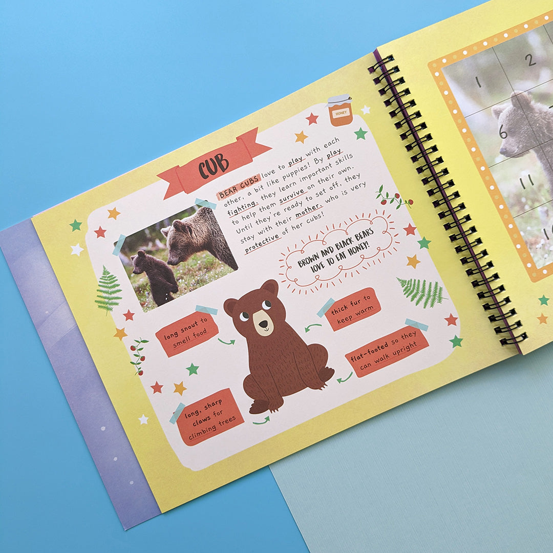 Baby Animals - Children’s Sticker By Number Activity Book
