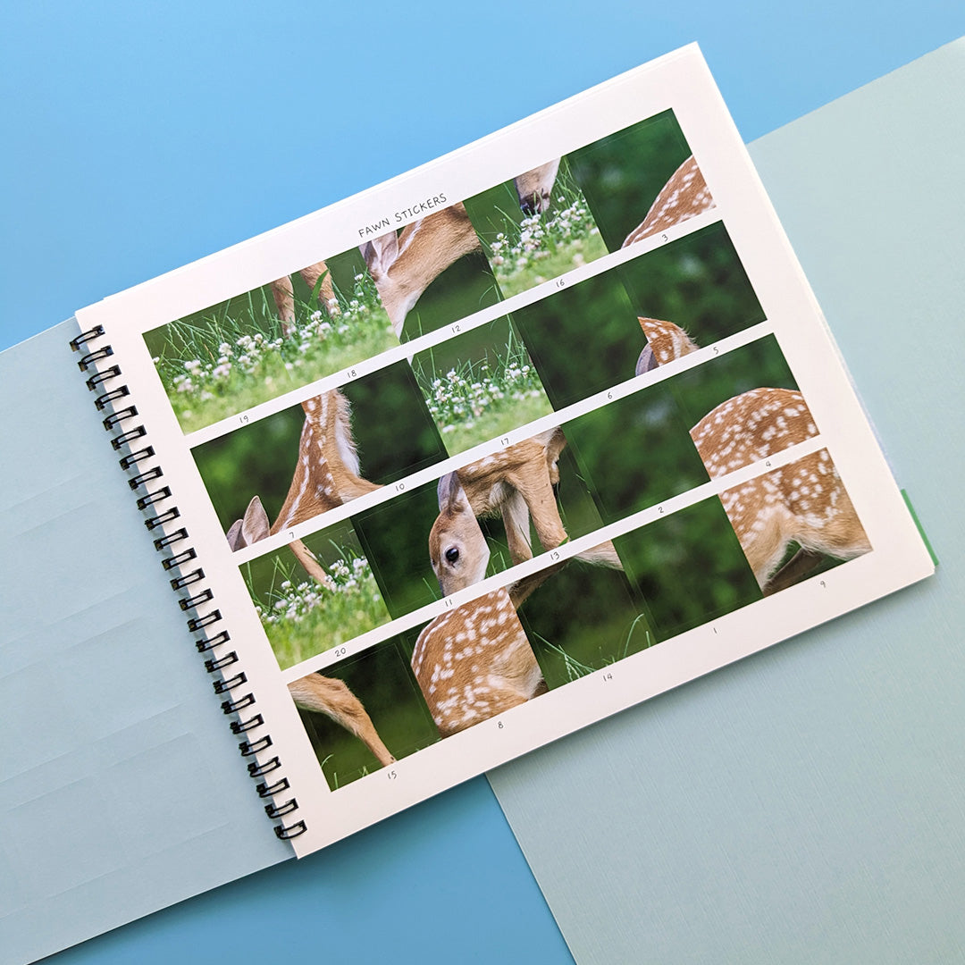 Baby Animals - Children’s Sticker By Number Activity Book