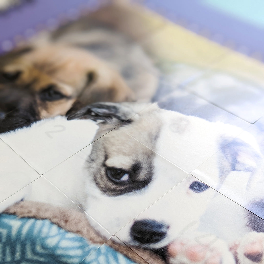 Baby Animals - Children’s Sticker By Number Activity Book