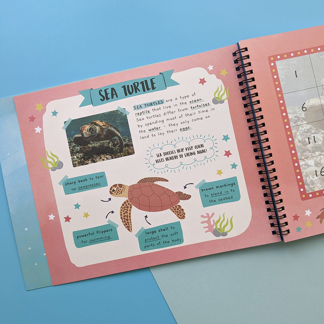 In The Ocean - Children’s Sticker By Number Activity Book