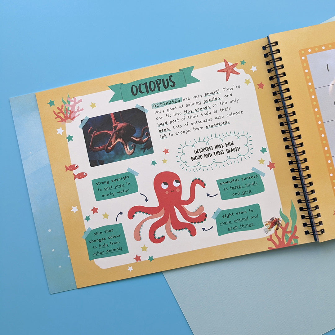 In The Ocean - Children’s Sticker By Number Activity Book