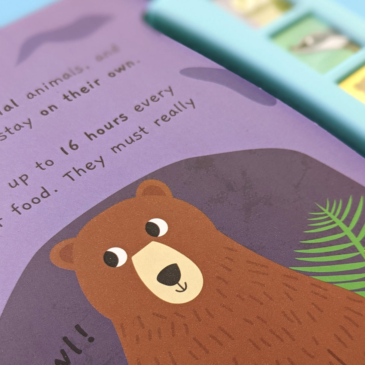 Noisy Forest - Children's 6 Button Sound Book