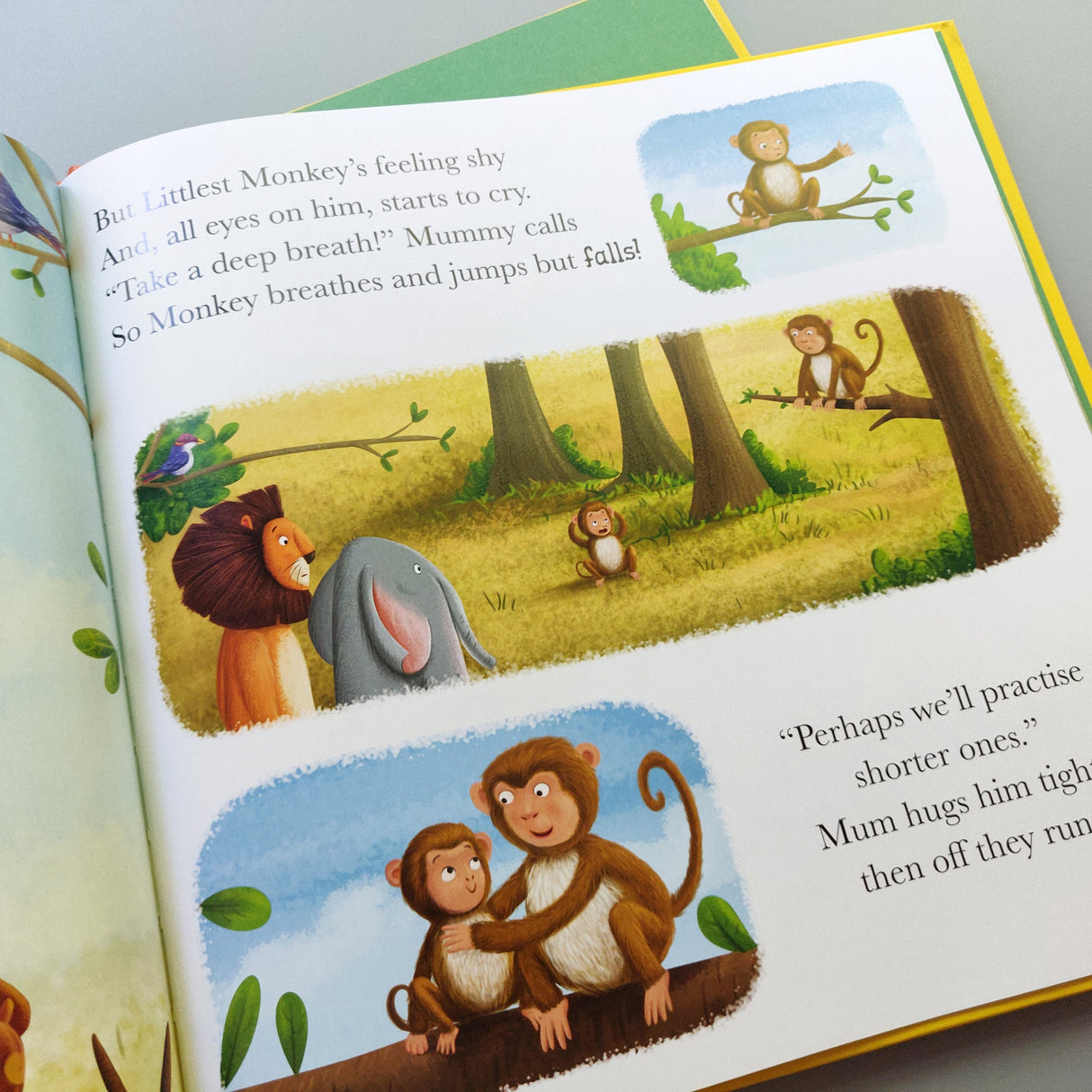 When Lion Feels Shy - Me And My Feelings Children's Hardback Book