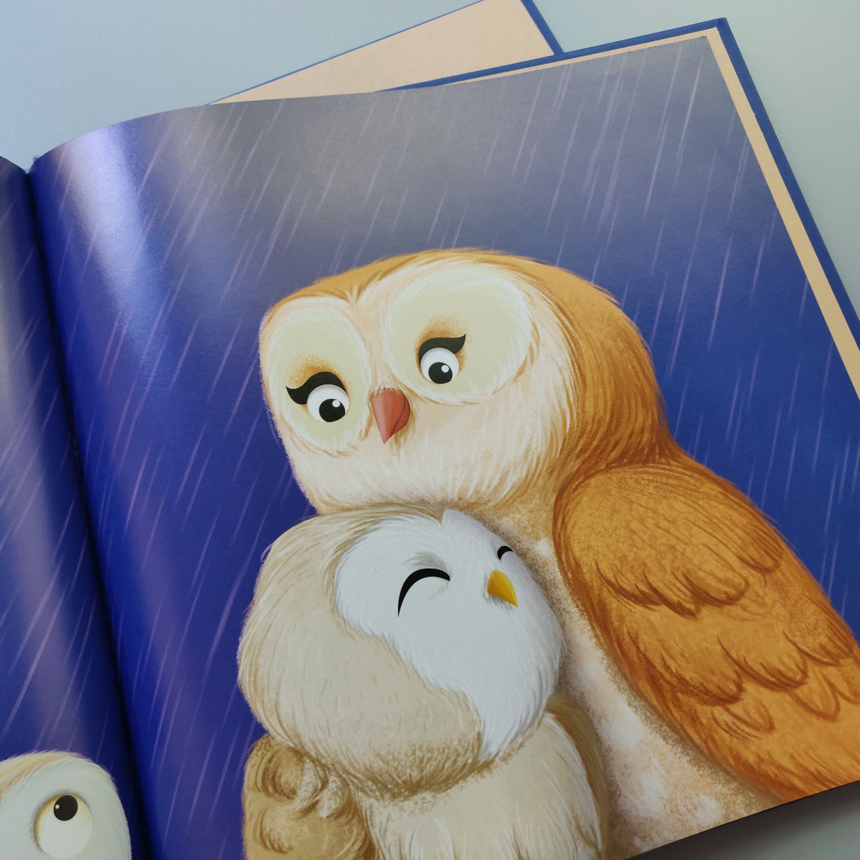 When Owl Feels Scared - Me And My Feelings Children's Hardback Book