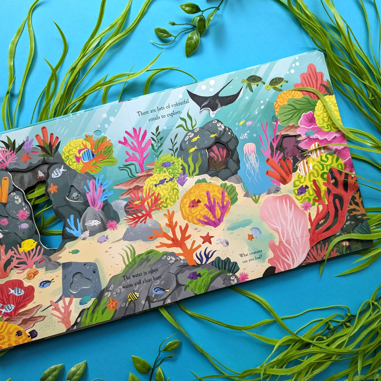 Let's Explore The Ocean - Children's Lift-The-Flap Book