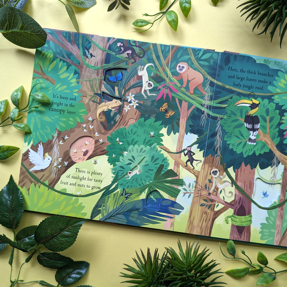 Let’s Explore The Rainforest - Children’s Lift-the-Flap Book