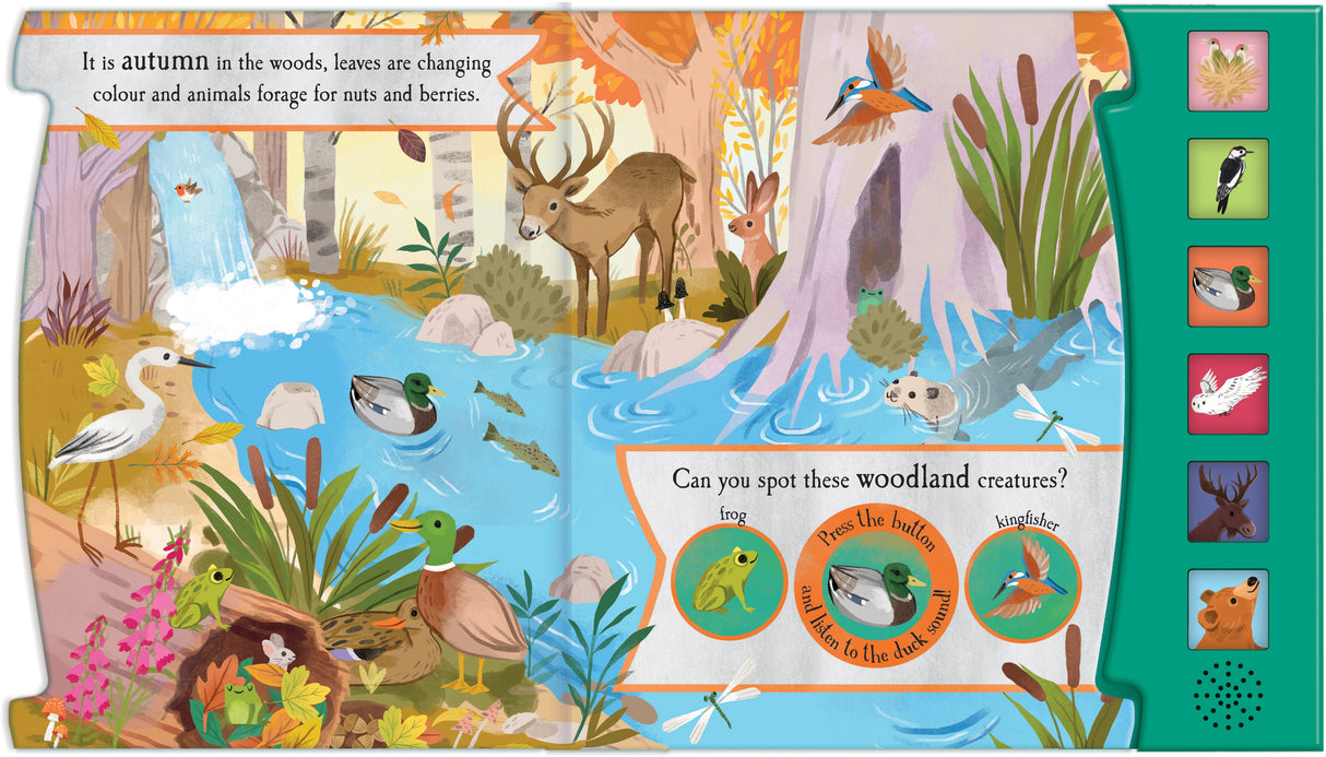 Let’s Explore The Noisy Woods - Children's 6 Button Sound Book