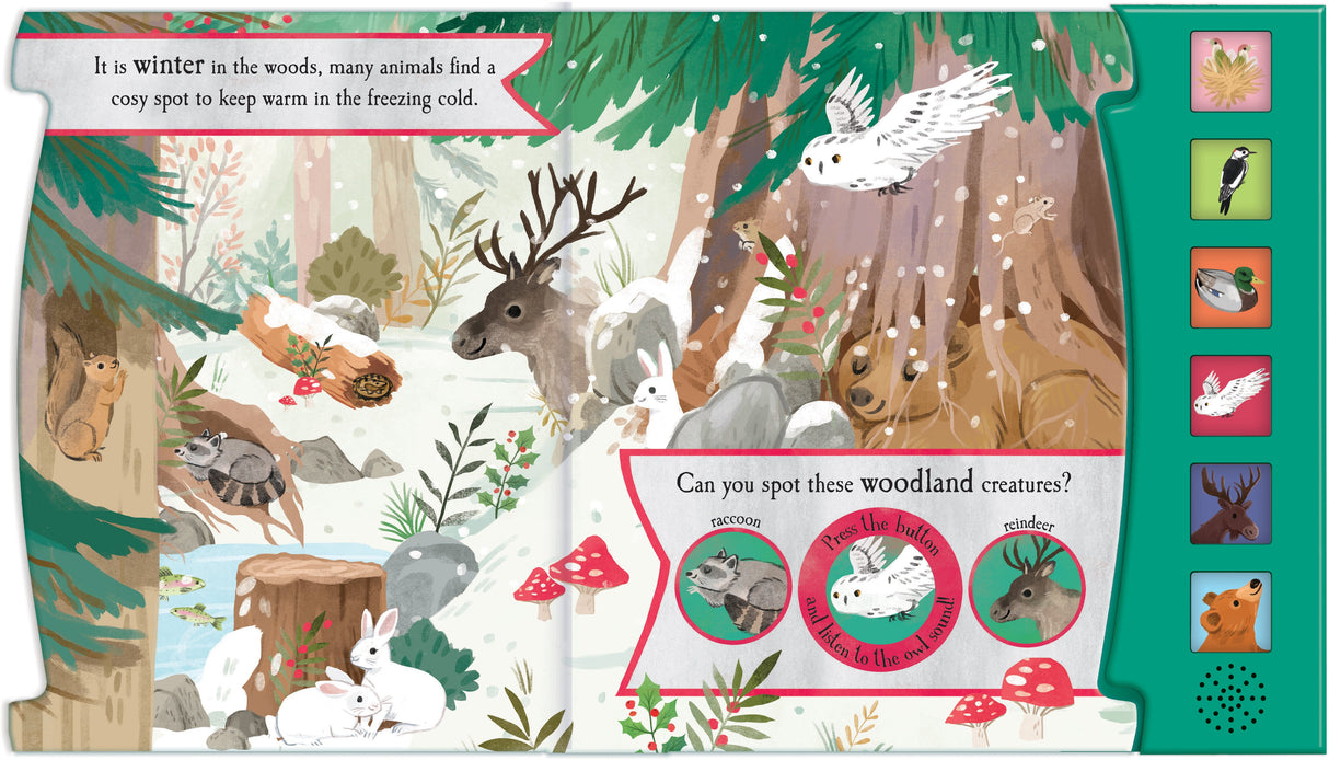 Let’s Explore The Noisy Woods - Children's 6 Button Sound Book