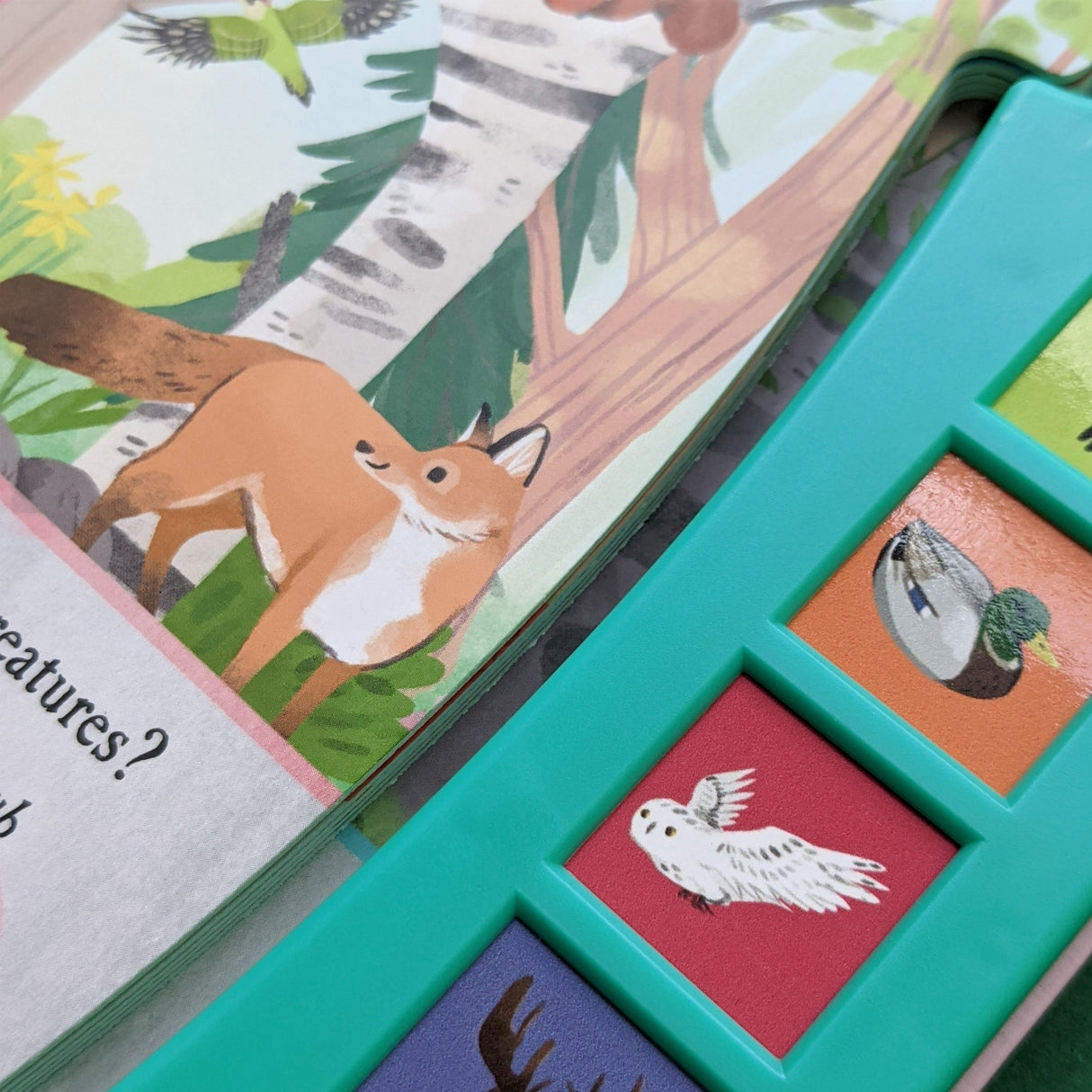 Let’s Explore The Noisy Woods - Children's 6 Button Sound Book