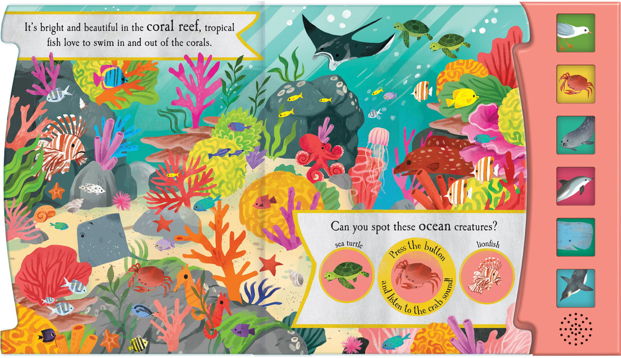 Let’s Explore The Noisy Ocean - Children's 6 Button Sound Book