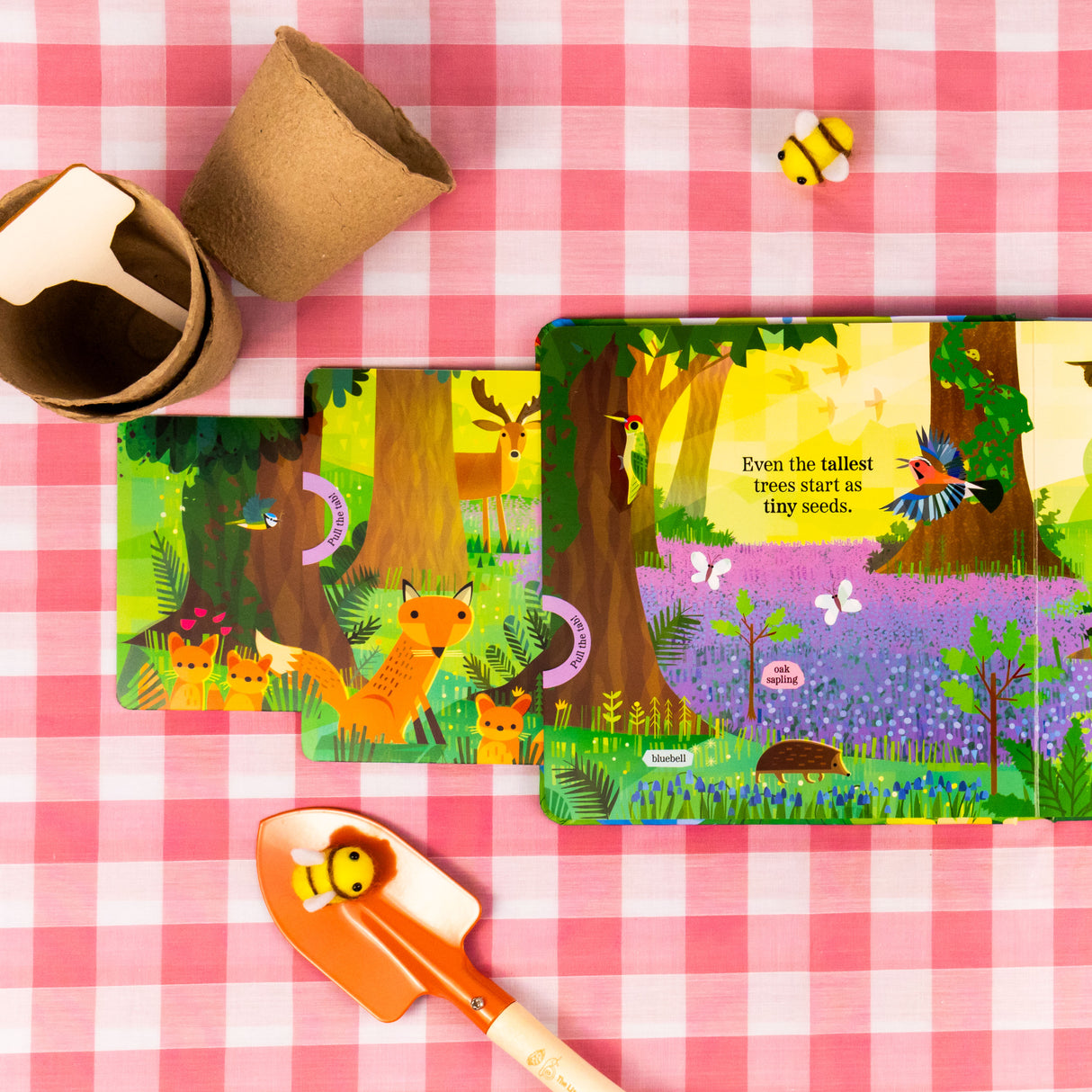 Amazing Plants - My Nature Pull-Tab Board Book