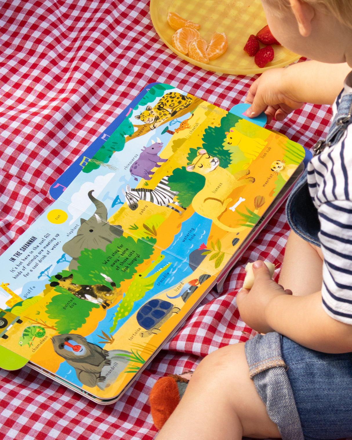 In the Wild! – Pull-Tab Sound Book for Kids