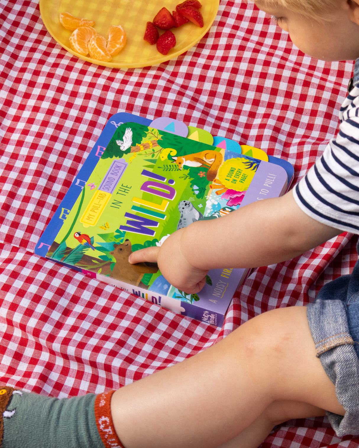 In the Wild! – Pull-Tab Sound Book for Kids