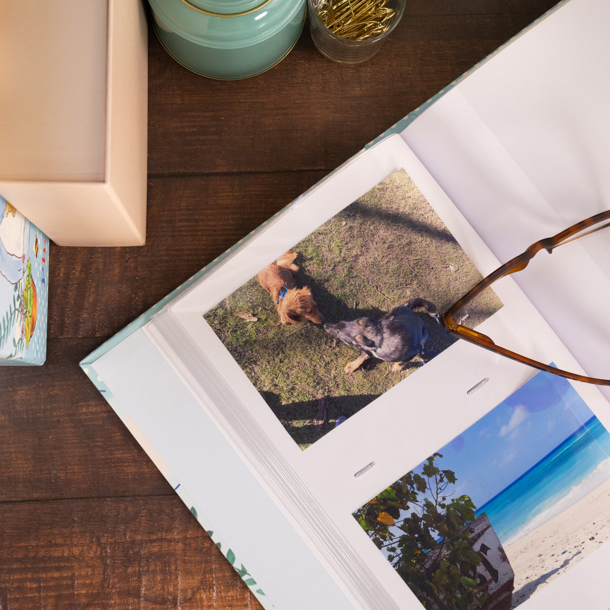 Peter Rabbit Portrait Photograph Album in Gift Box - Holds 100 Photos