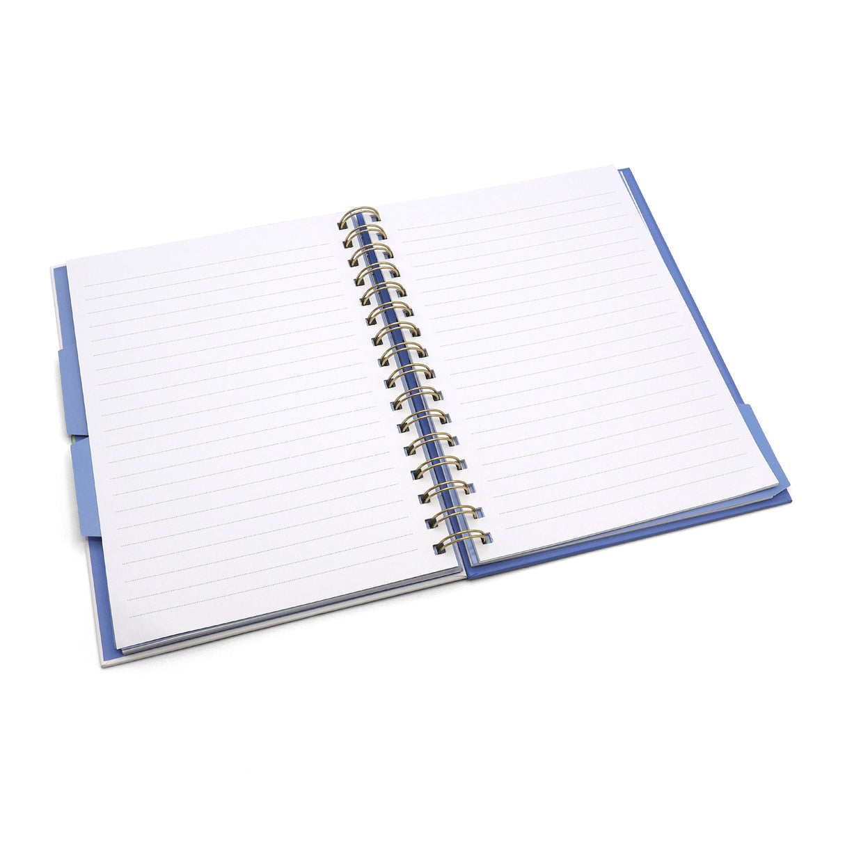 Peter Rabbit A5 Notebook Wired with Dividers – Out & About Design