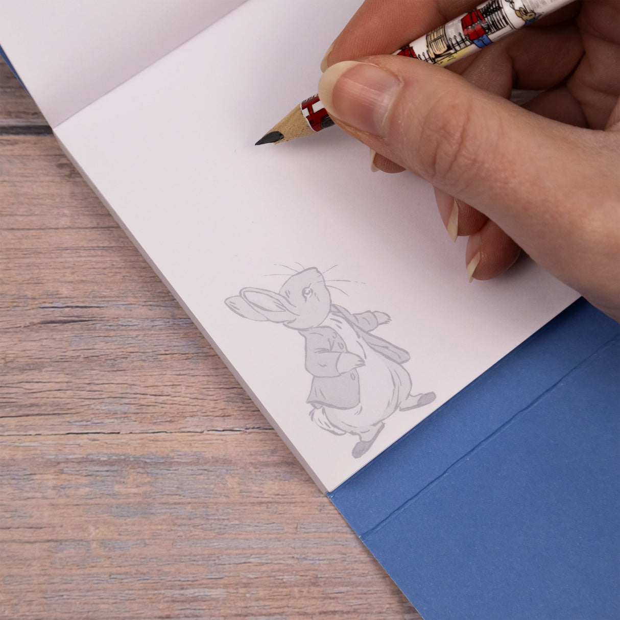 Peter Rabbit Pocket Notebook with Magnetic Closure