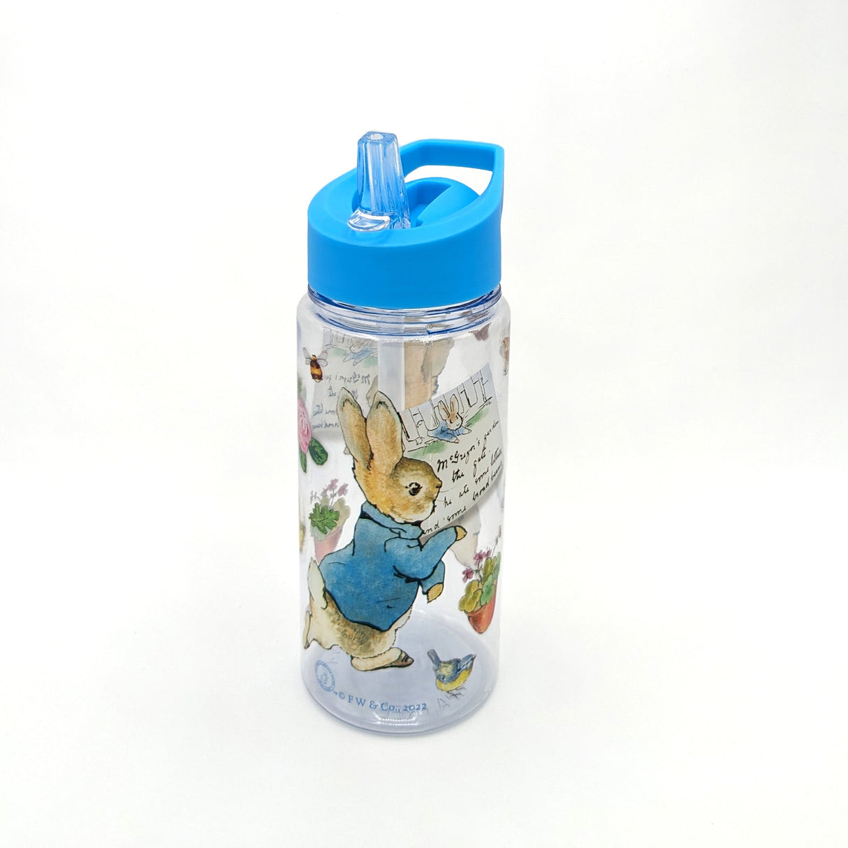 Peter Rabbit Children’s Water Bottle - 500ml and BPA Free