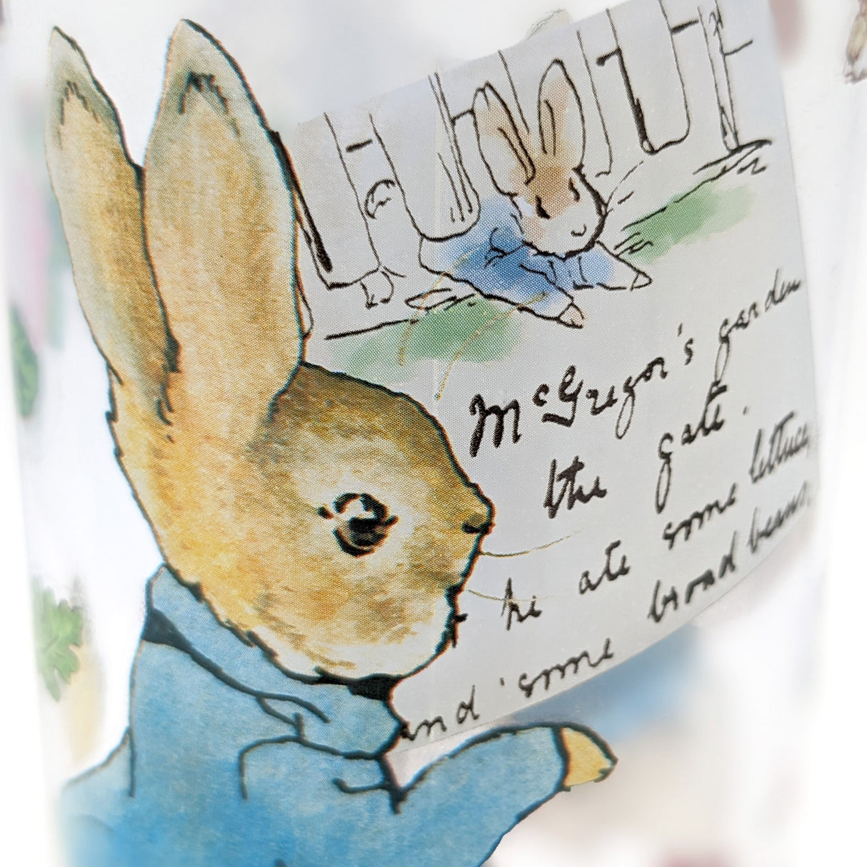 Peter Rabbit Children’s Water Bottle - 500ml and BPA Free