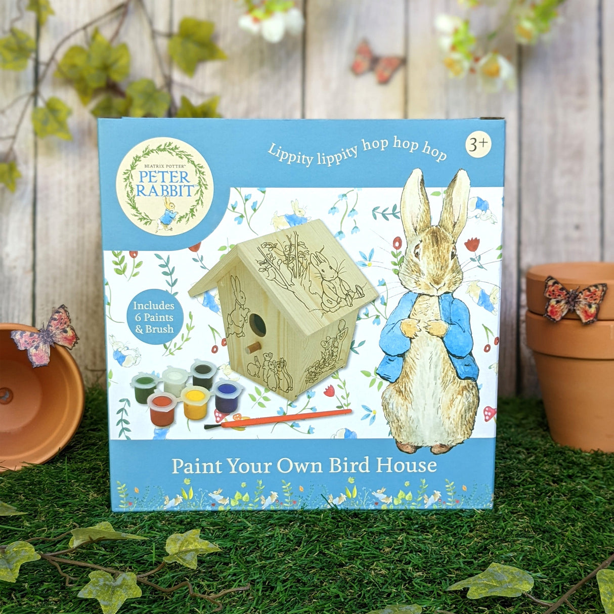 Peter Rabbit Paint Your Own Bird House