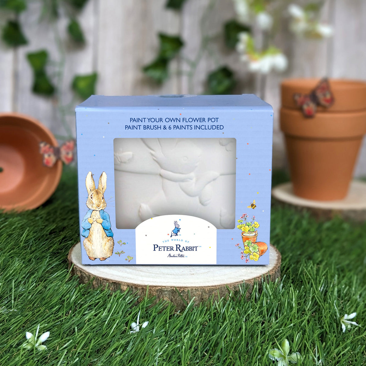 Peter Rabbit Paint Your Own Plant Pot