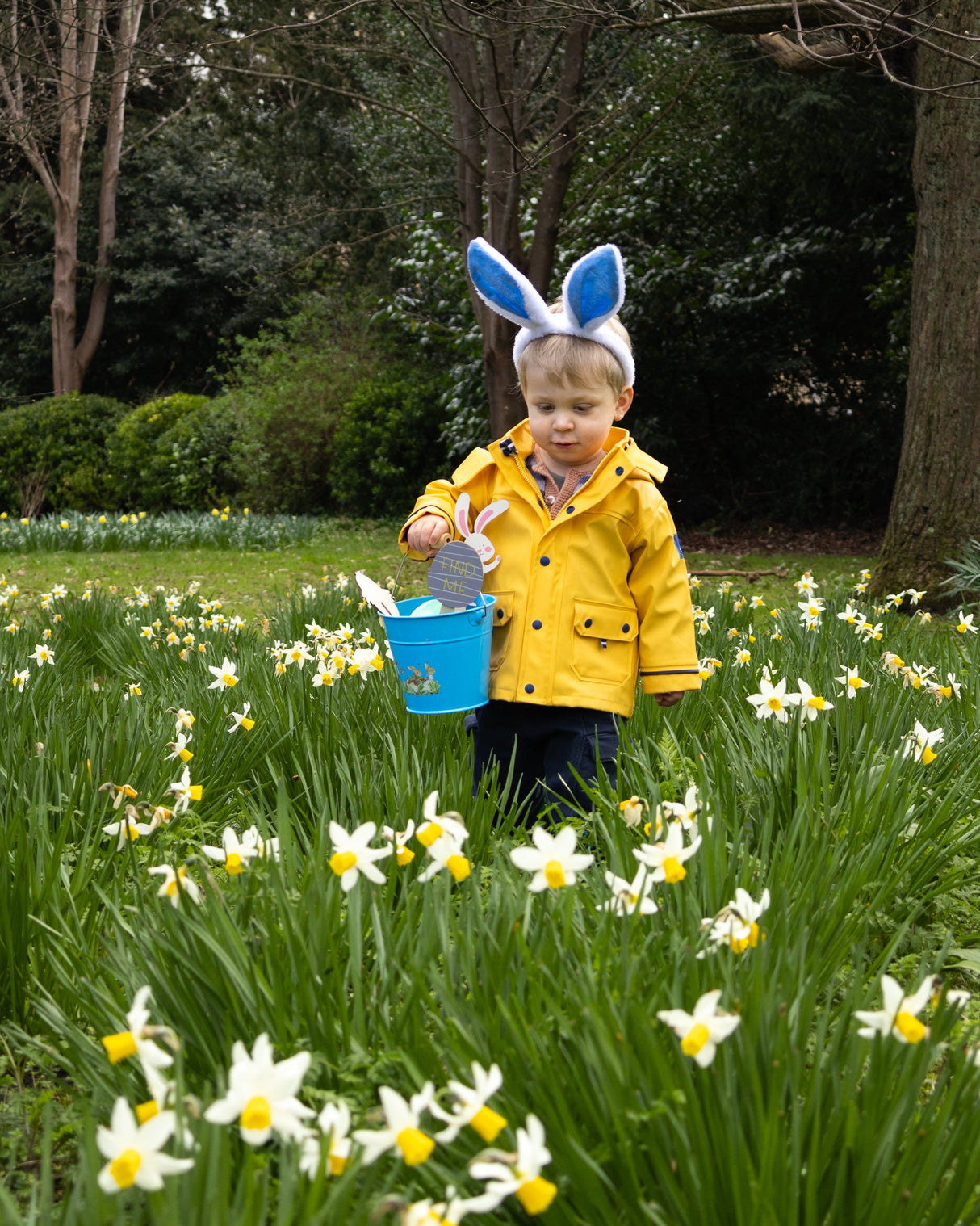 Beatrix Potter Children's Metal Bucket