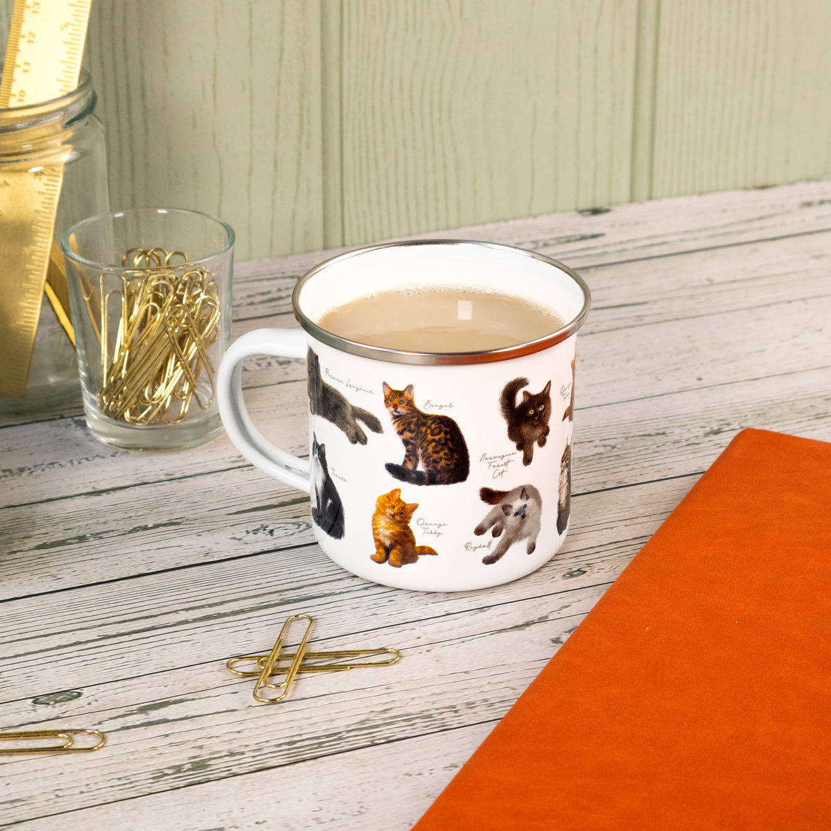 Patricia MacCarthy Cat Design Enamel Mug - Popular Cat Breeds