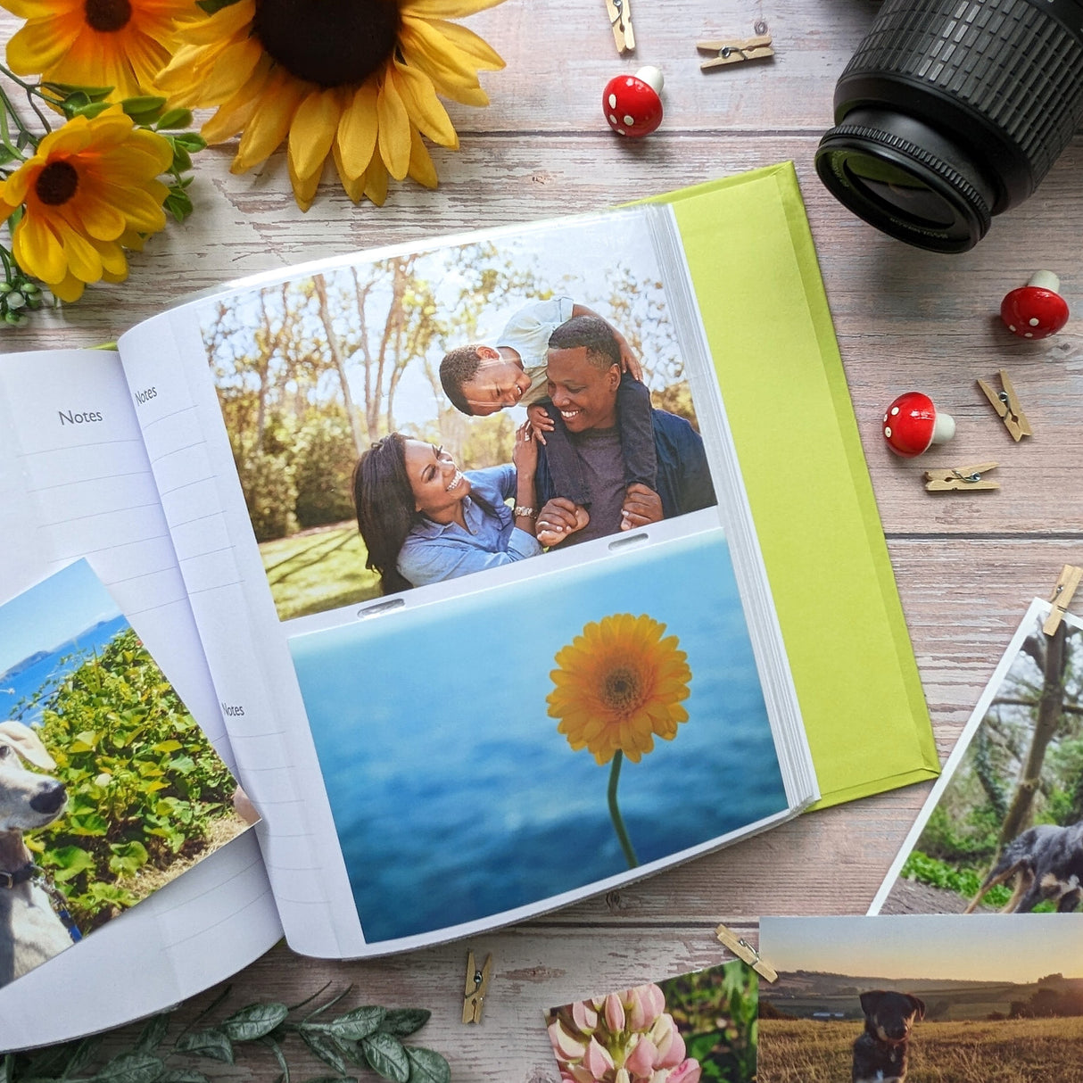 Jemima Puddle-Duck Photo Album