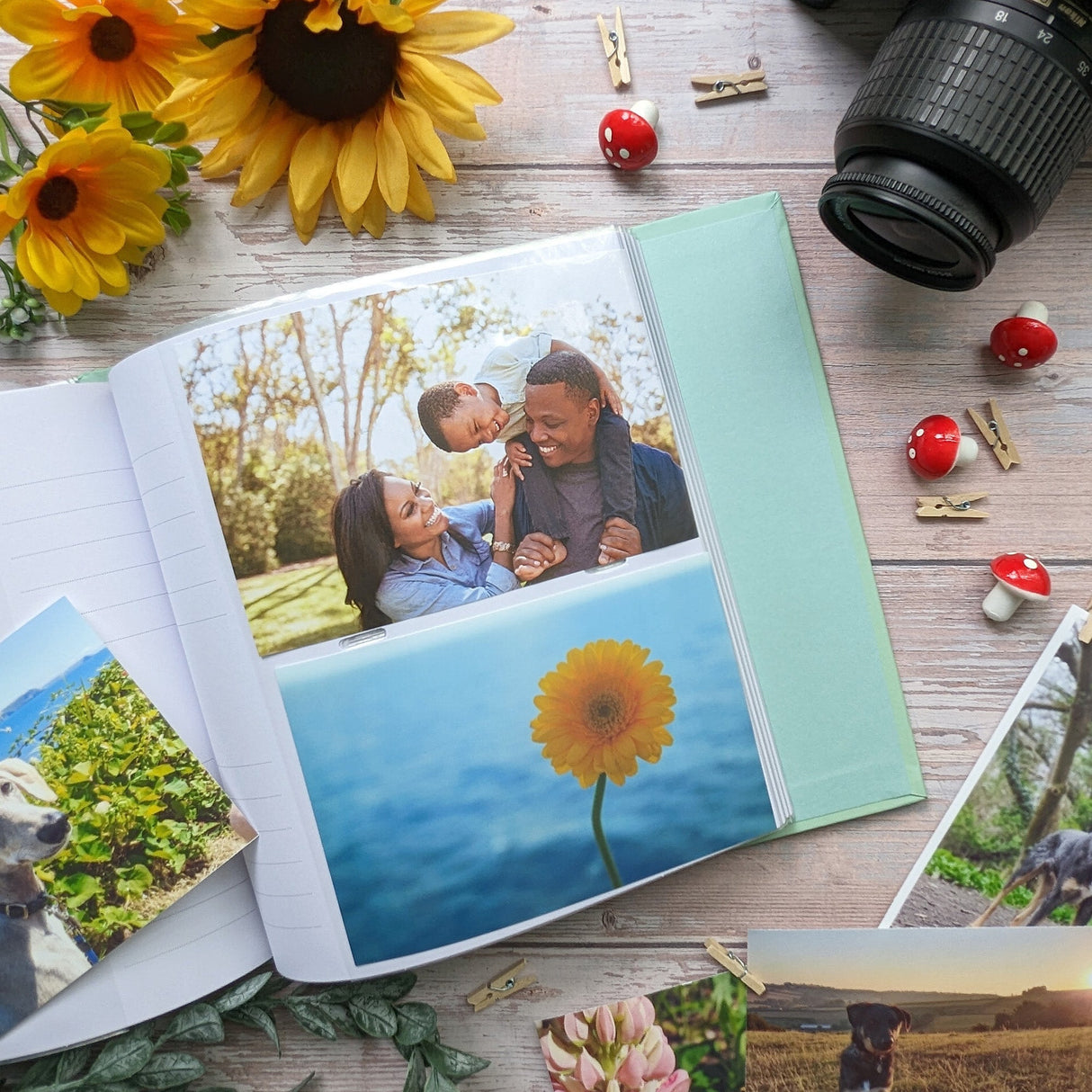 Mrs Tiggy-Winkle Photo Album