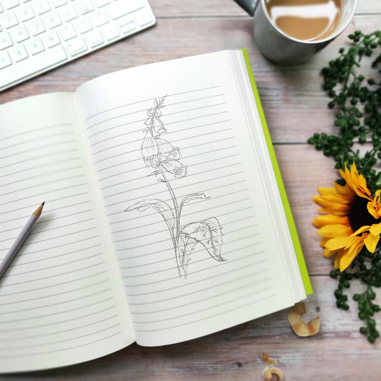 Jemima Puddle-Duck B5 Notebook