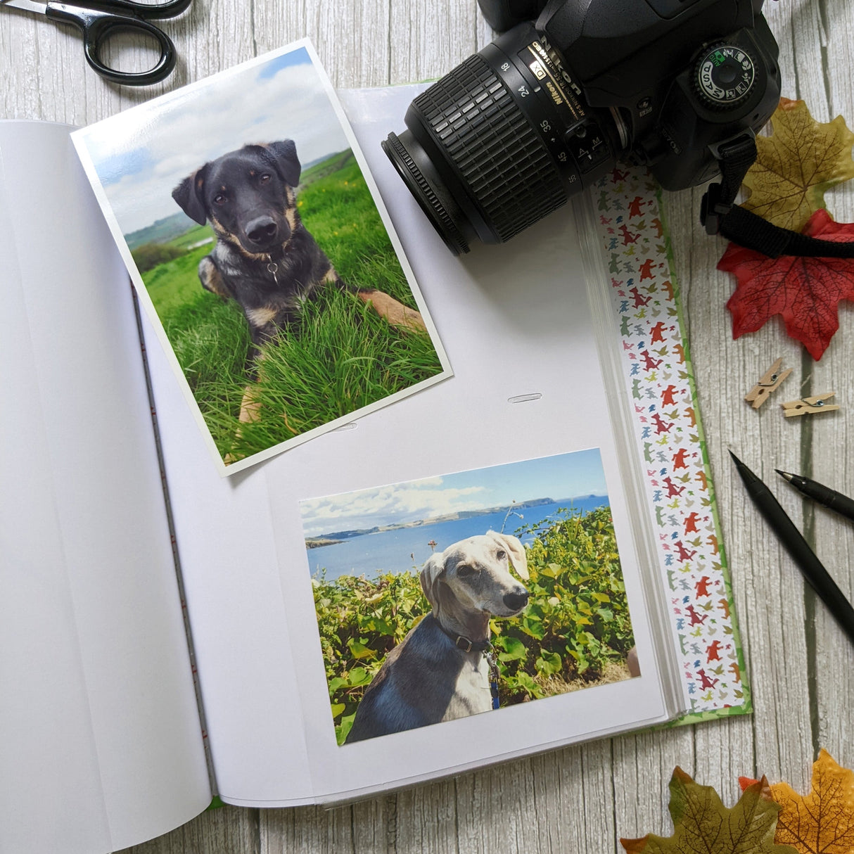 Percy The Park Keeper Portrait Photograph Album in Gift Box