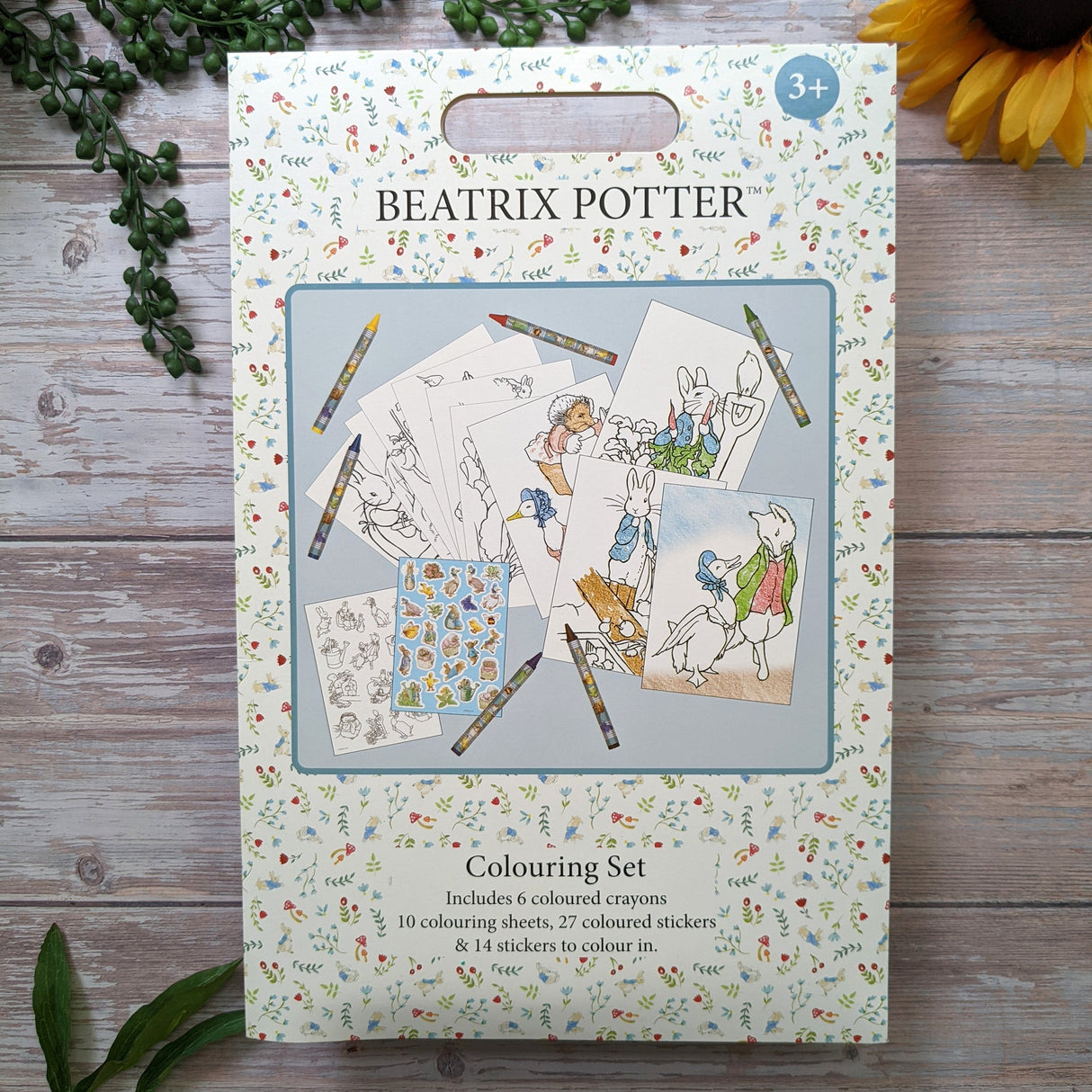 Beatrix Potter Children's Colouring Set