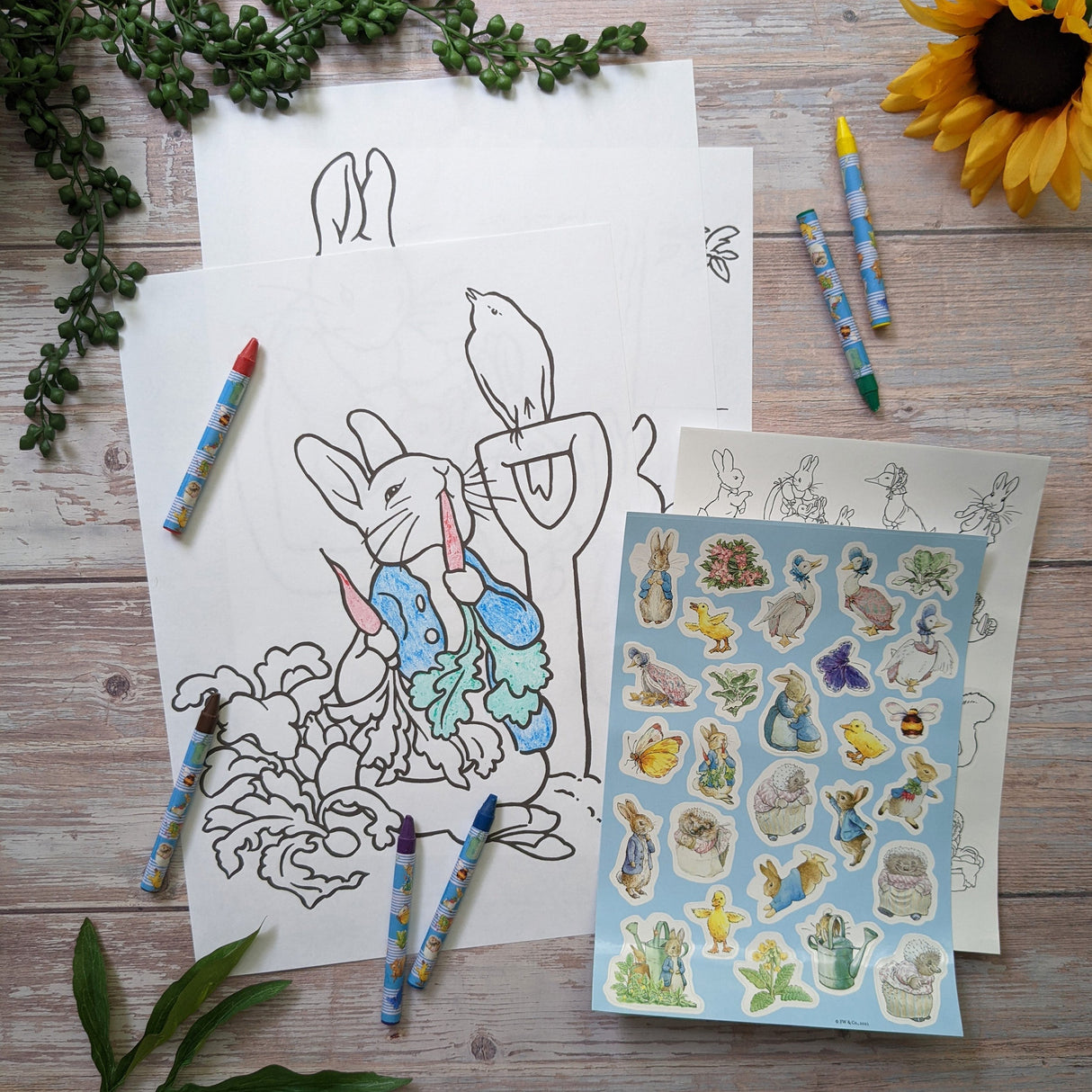 Beatrix Potter Children's Colouring Set