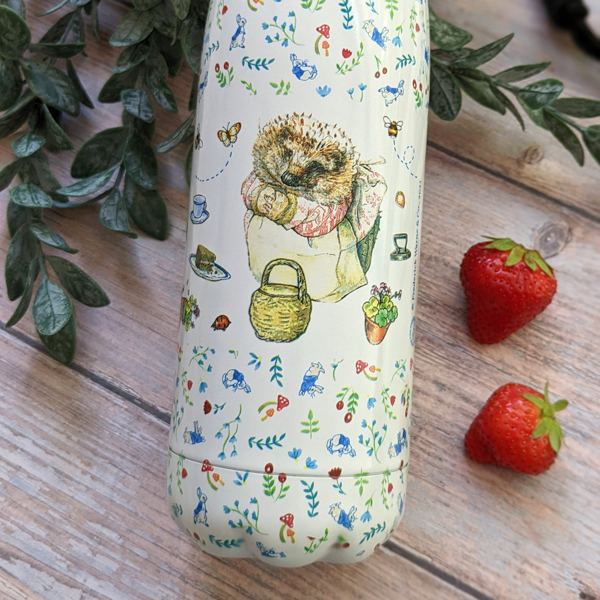 Peter Rabbit Water Bottle