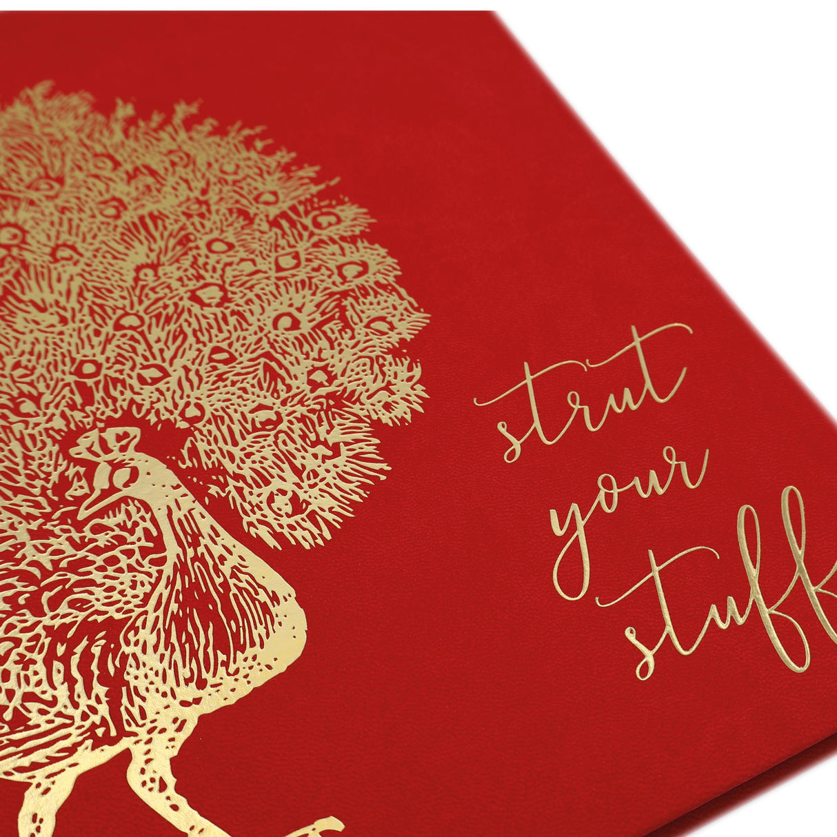 Premium B5 Lined Notebook Journal - Strut Your Stuff Peacock Design